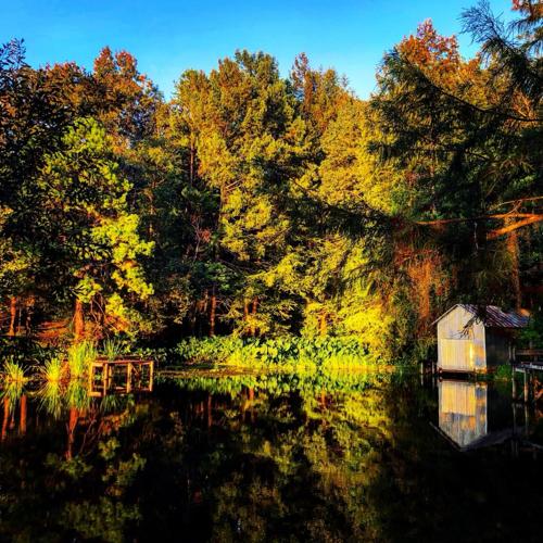 cotile lake 10