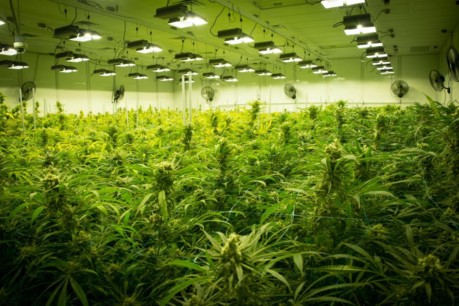 Medical marijuana pharmacies: See possible locations, ownership groups for Baton Rouge, elsewhere