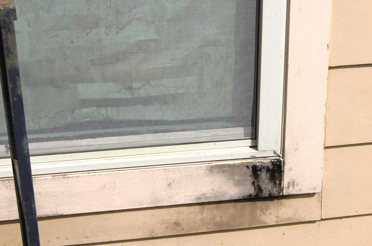 Families suing D R Horton over mold in homes share stories Courts