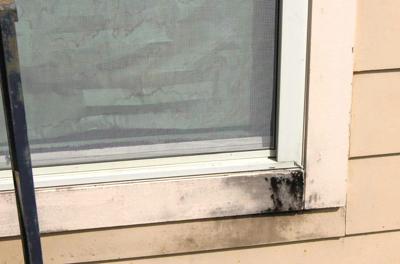 Families suing D R Horton over mold in homes share stories Courts