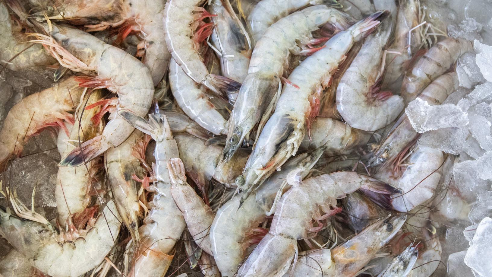 More Than 150 Food Establishments Cited For Not Labeling Foreign Shrimp And Crawfish In Louisiana Business Theadvocate Com More Than 150 Food Establishments Cited For Not Labeling Foreign Shrimp And Crawfish In Louisiana Business Theadvocate Com