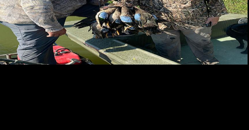 Shortened teal season tops proposed hunting seasons