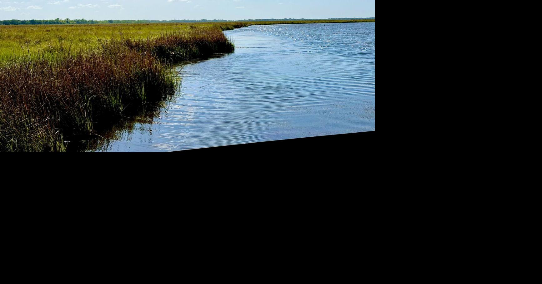 These trees being planted near New Orleans are not for us: They're for our grandkids