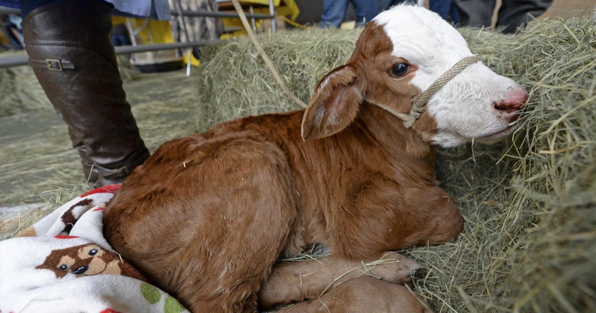 Baton Rouge events calendar for Jan. 27Feb. 2, 2023 Entertainment