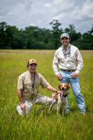 Quail Forever's Atchafalaya chapter to celebrate return
