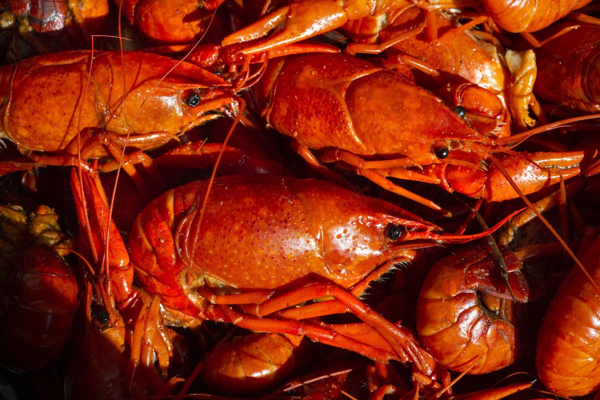 Crawfish season off to a hot start see how low prices have fallen