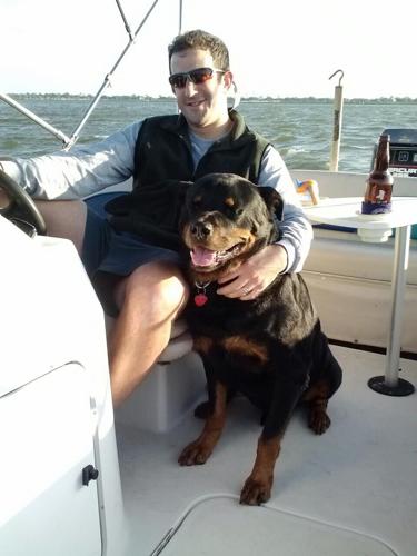Gus the dog
