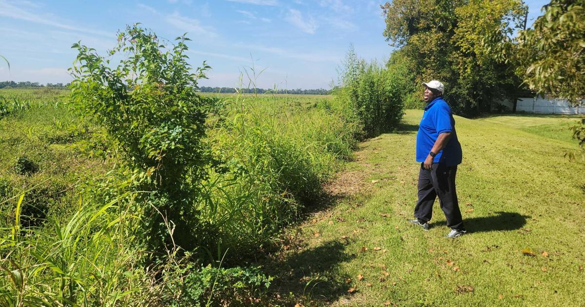 With its first steps done, this project is already protecting Baton Rouge ...