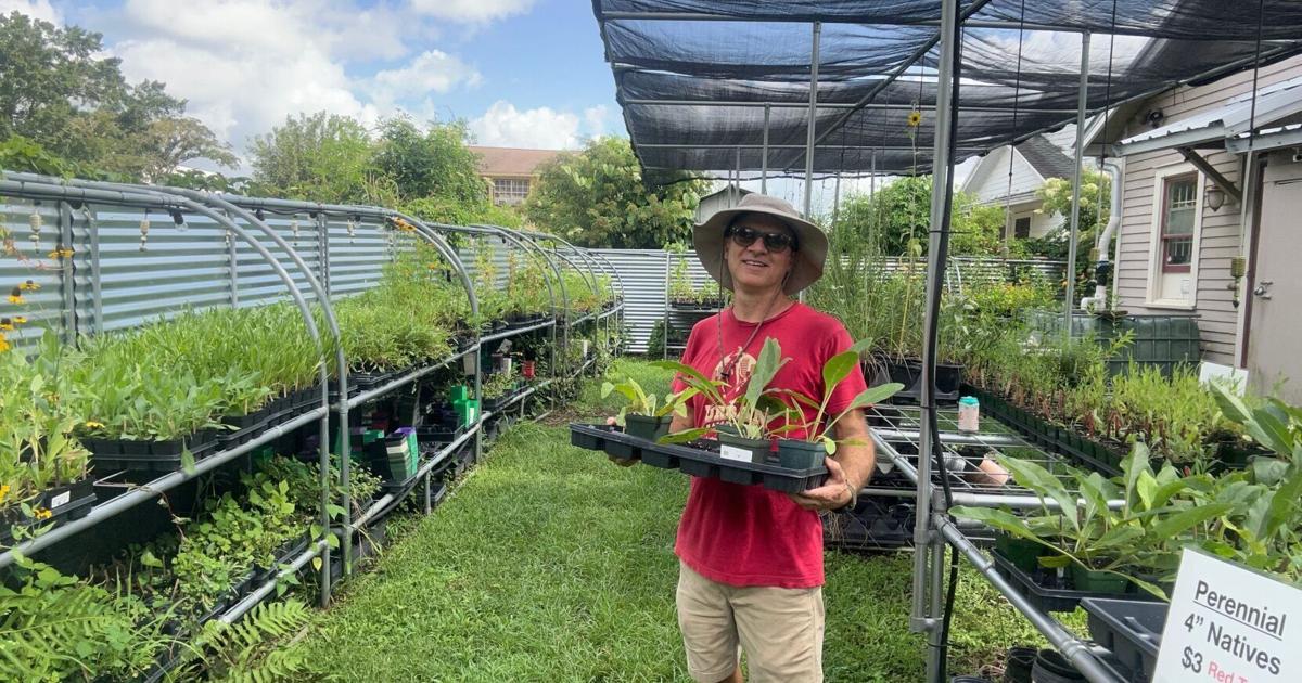 This Lafayette plant shop has a 24/7 self checkout honor system ...