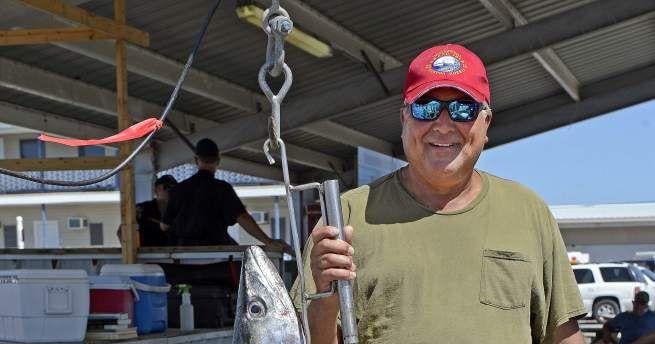 Are king mackerel next to get a special season?