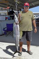 Are king mackerel next to get a special season?