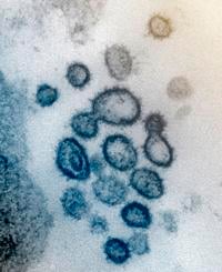 Three dead in St. Martin Parish from coronavirus
