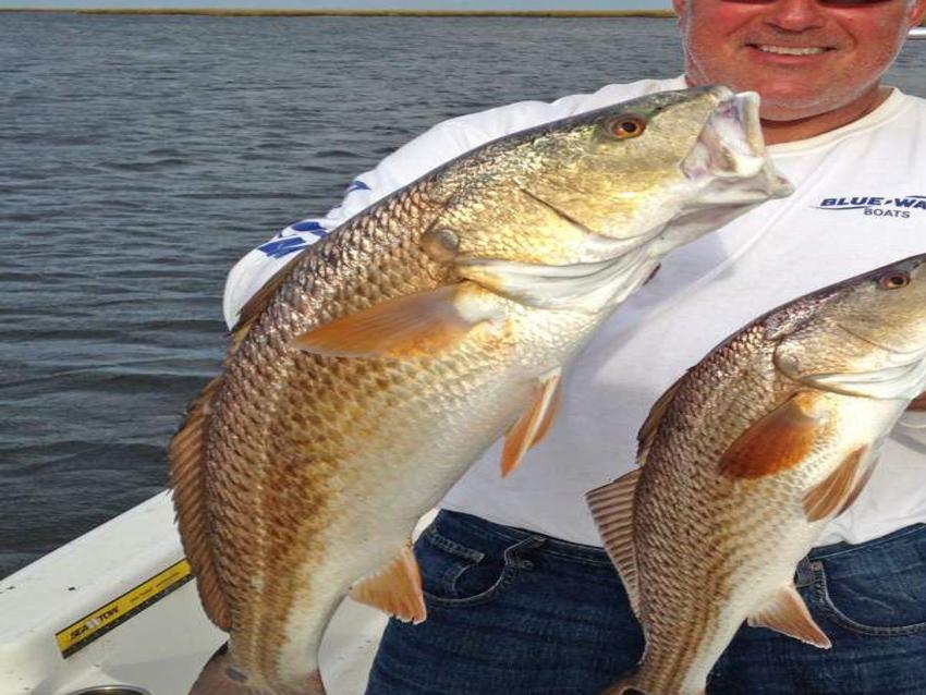 Speckled Trout Fishing Hitting Prime Time Louisiana Outdoors Theadvocate Com