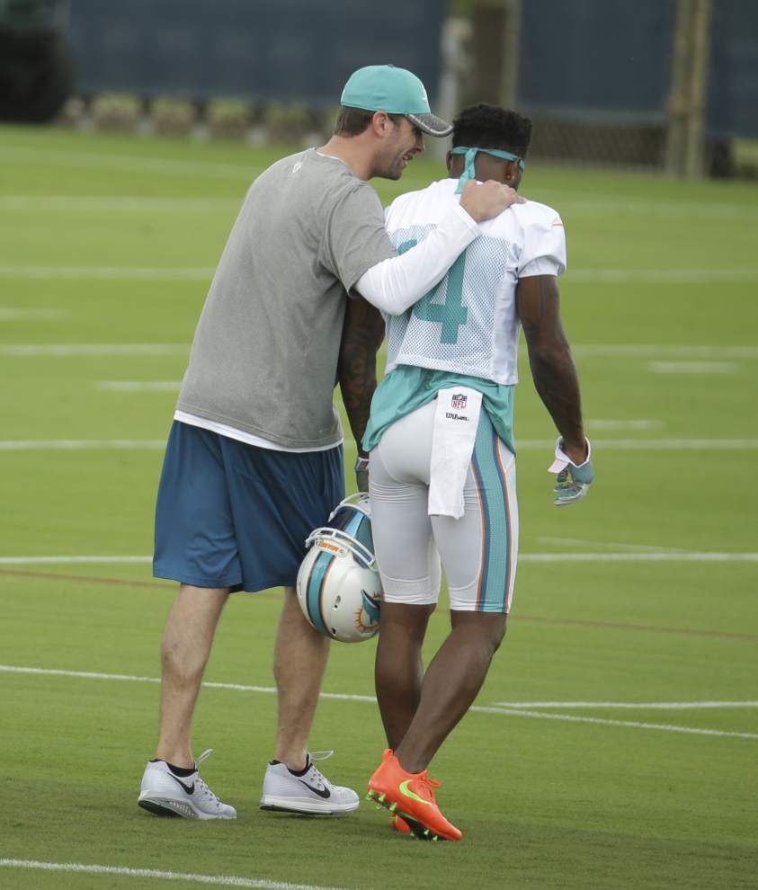 Jarvis Landry, Kenny Stills got job done, but where were other Miami  Dolphins receivers?