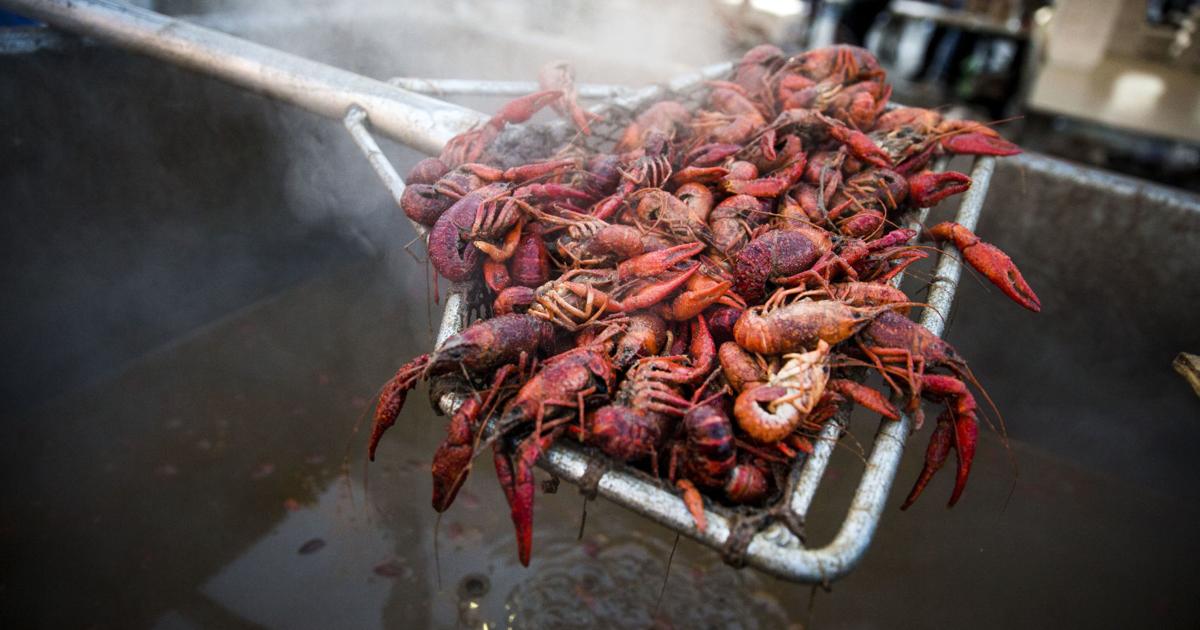 Parish Lines It's Crawfish Festival time in Chalmette Crescent City
