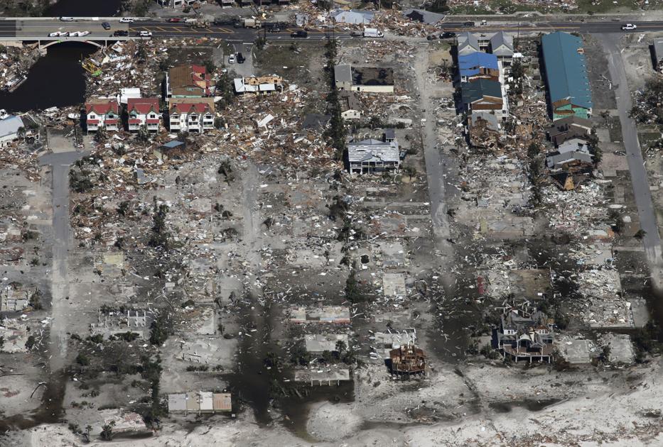 Image result for tree devastation hurricane michael