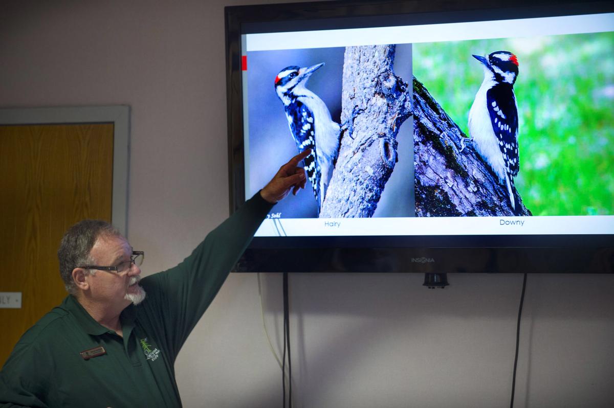 BR.birdday.010619 30.jpg
