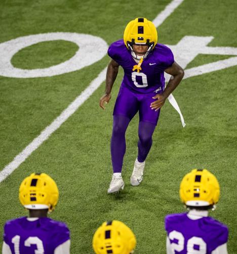 NO.lsucamp.081625_2582 MJ.JPG