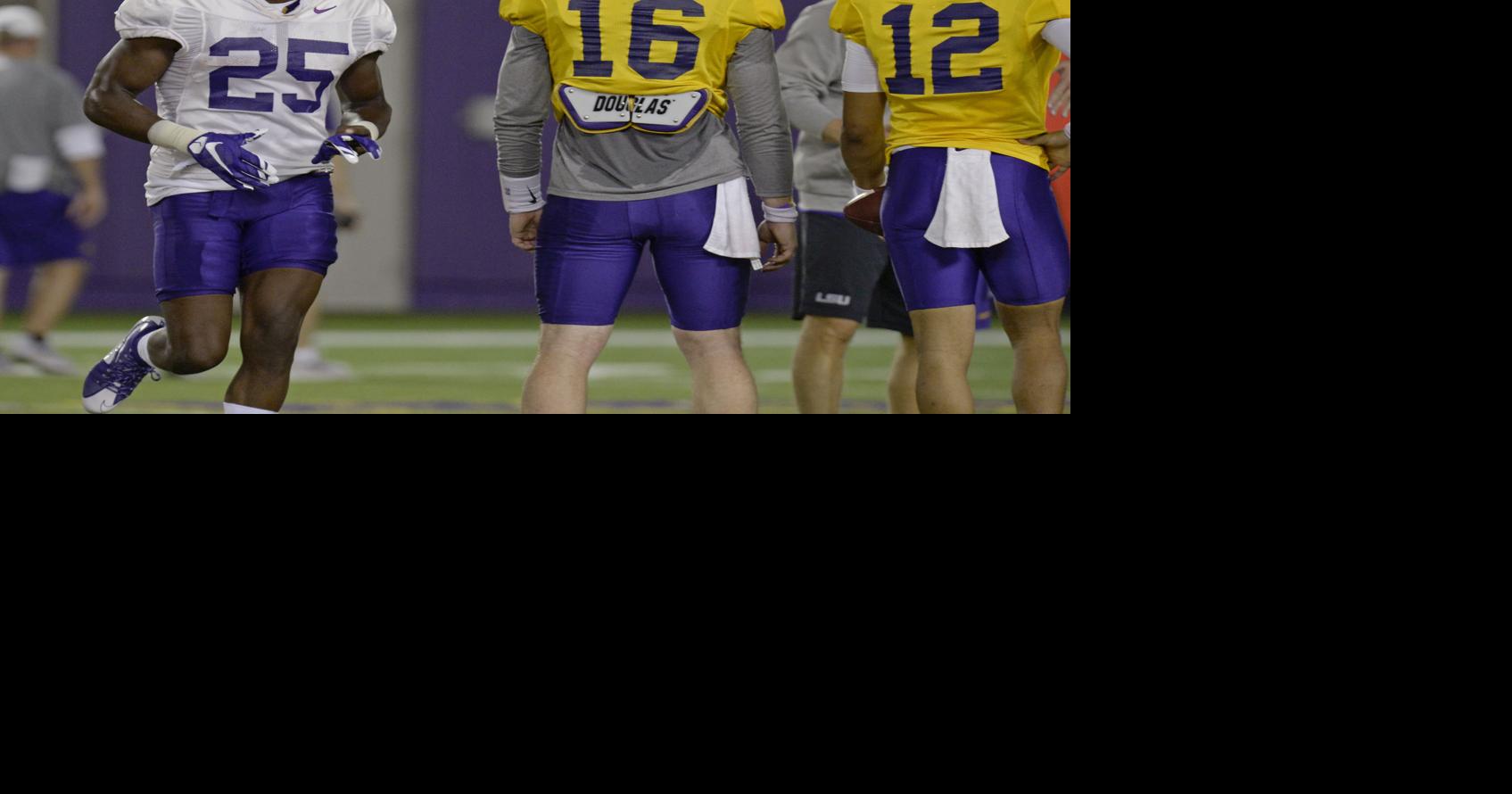 Drake Davis, poised to be LSU's return man, is still trying to leap ...