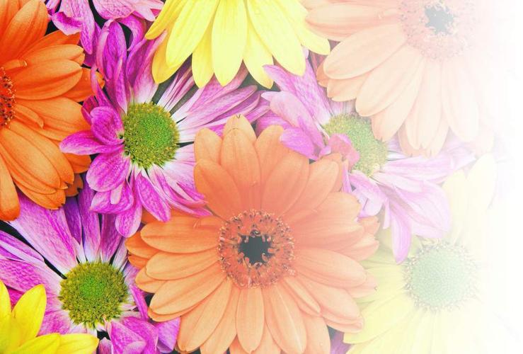 14th annual Baton Rouge Spring Garden Show set for this weekend