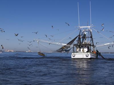 Gulf Coast Shrimp Boat