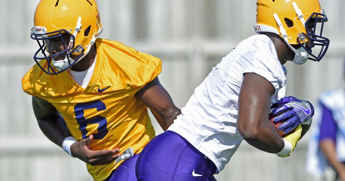 LSU Position Spotlight: Quarterbacks | LSU | theadvocate.com