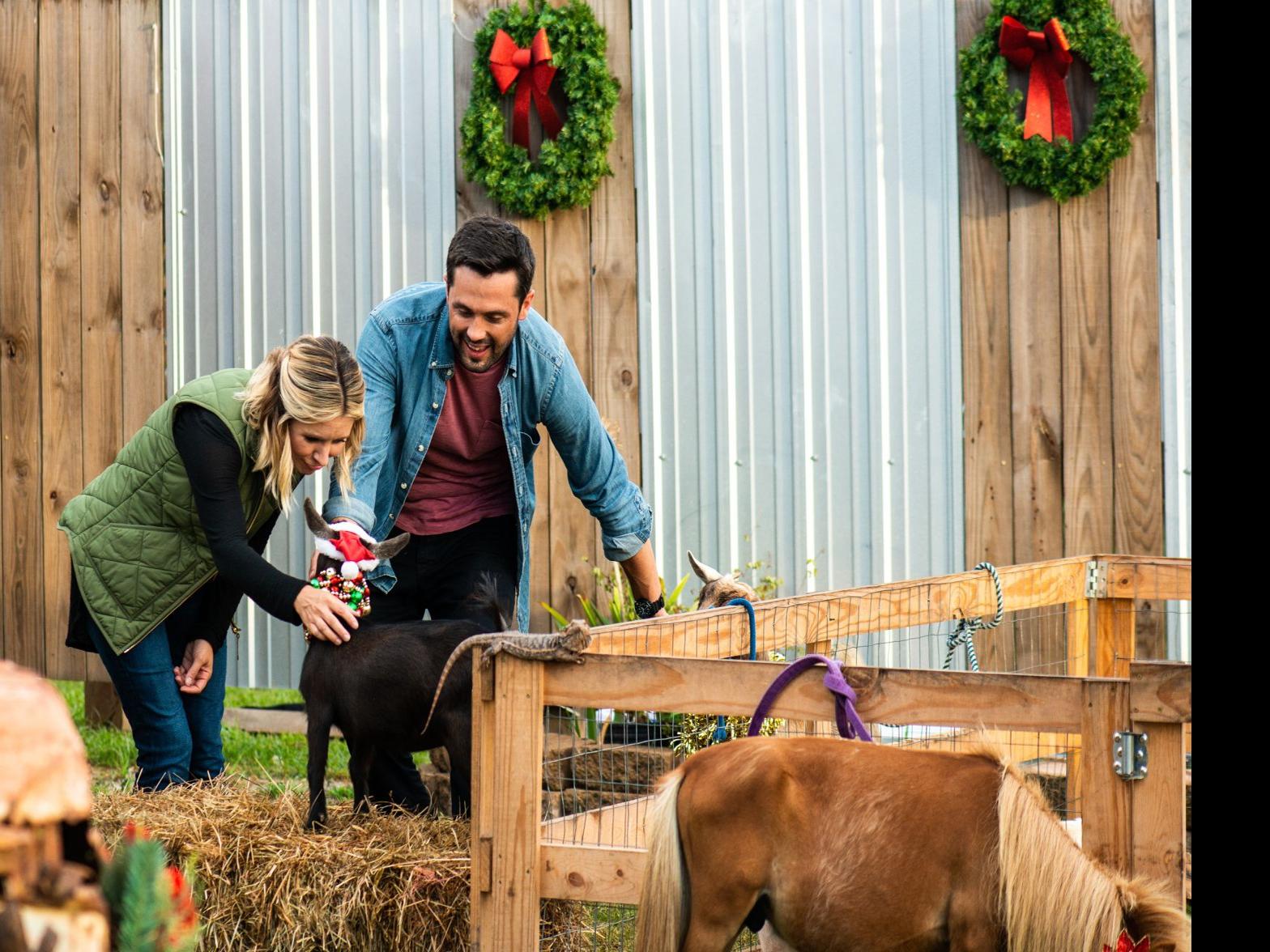 Look For Lafayette In Lifetime S Hometown Christmas Movies Tv Theadvocate Com
