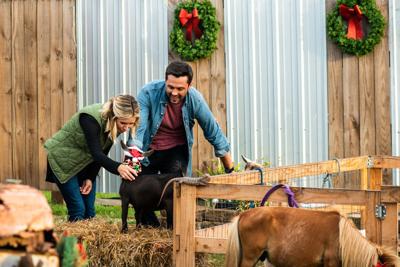 Look For Lafayette In Lifetime S Hometown Christmas Movies Tv Theadvocate Com