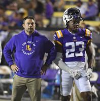 LSU linebackers coach Blake Baker not retained by Brian Kelly