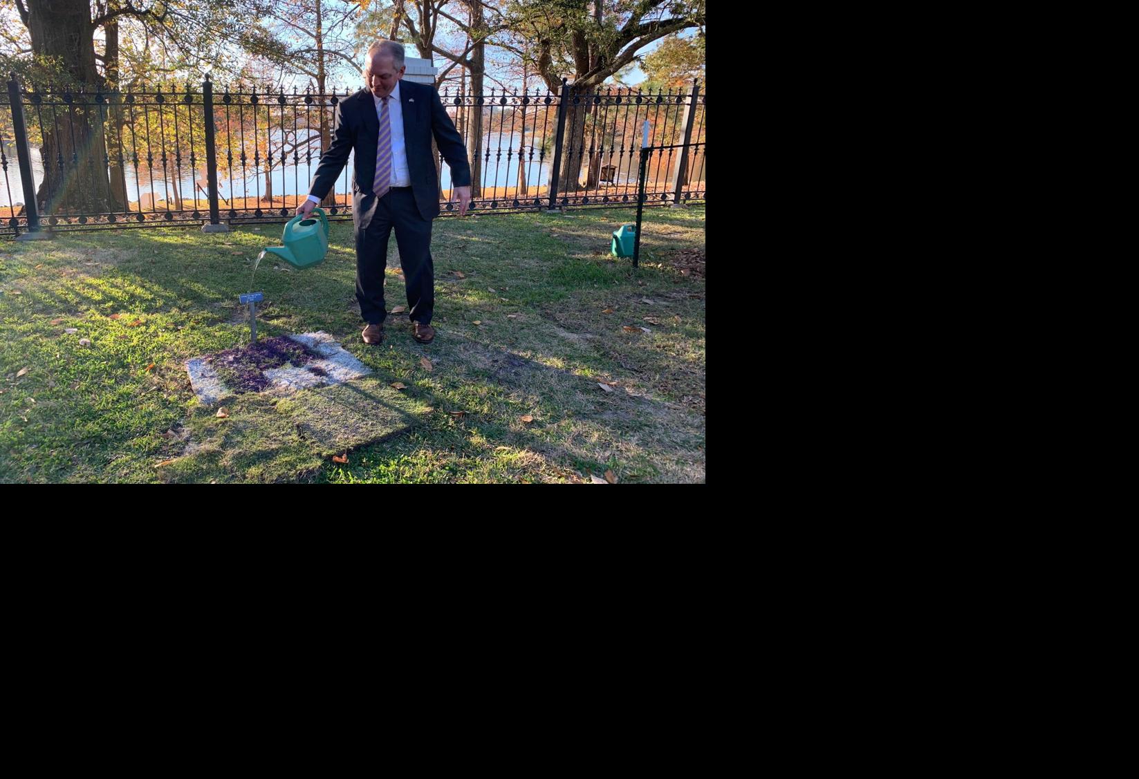 Lsu Fan Honors Her Dad By Planting Tiger Stadium Sod At His Grave He Was Everything Lsu Lsu Theadvocate Com