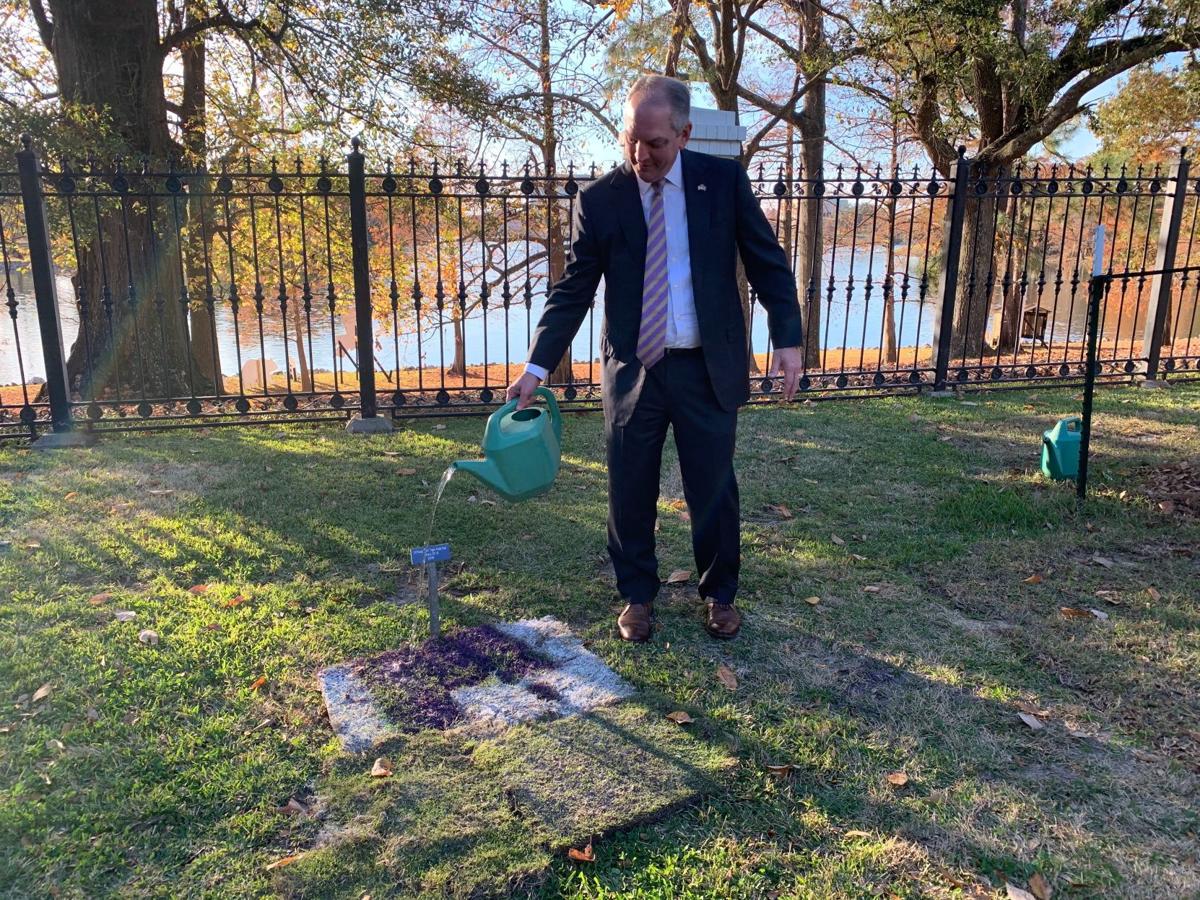 Tiger Stadium Grass Finds New Home At Governor S Mansion This Is