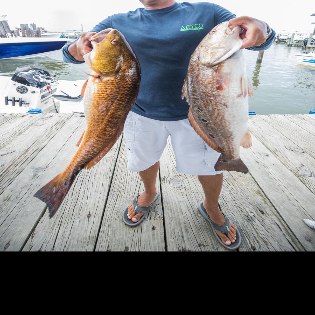 Check Out The Grand Isle Rodeo Leaderboard Louisiana Outdoors Theadvocate Com