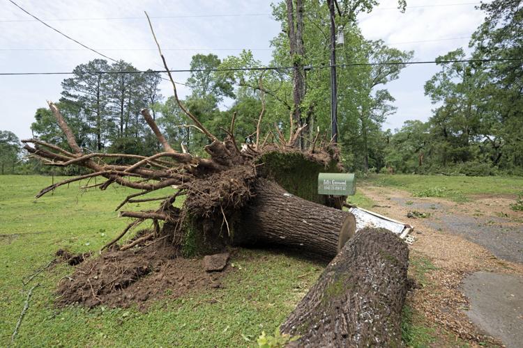 BR.westfel.041124 HS 194A.jpg