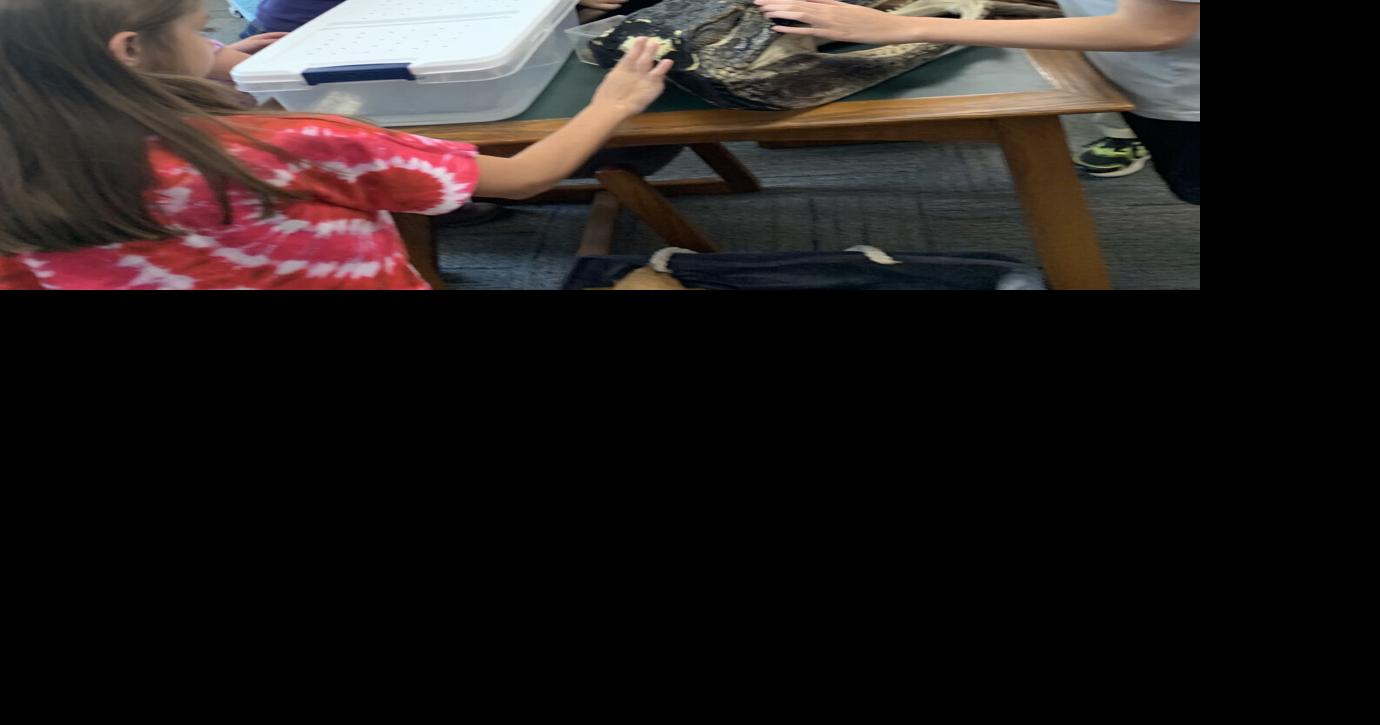 Baby alligator among wildlife that visited Jackson library Aug 4, 2026 8 mins ago 1 min to read