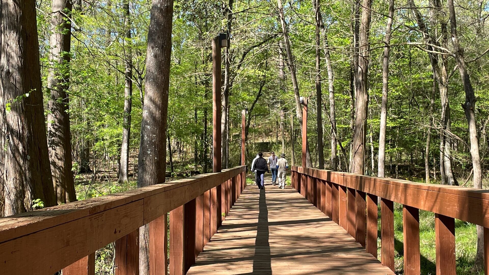 Chicot state 2024 park hiking