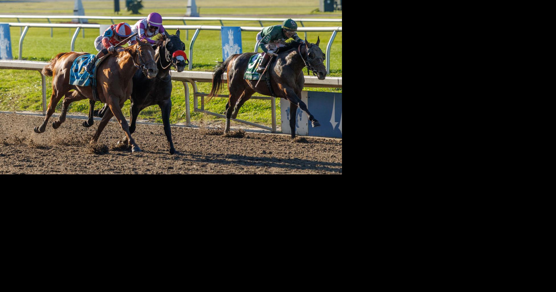 Emerging Market stamps himself as Kentucky Derby contender with impressive Louisiana Derby win