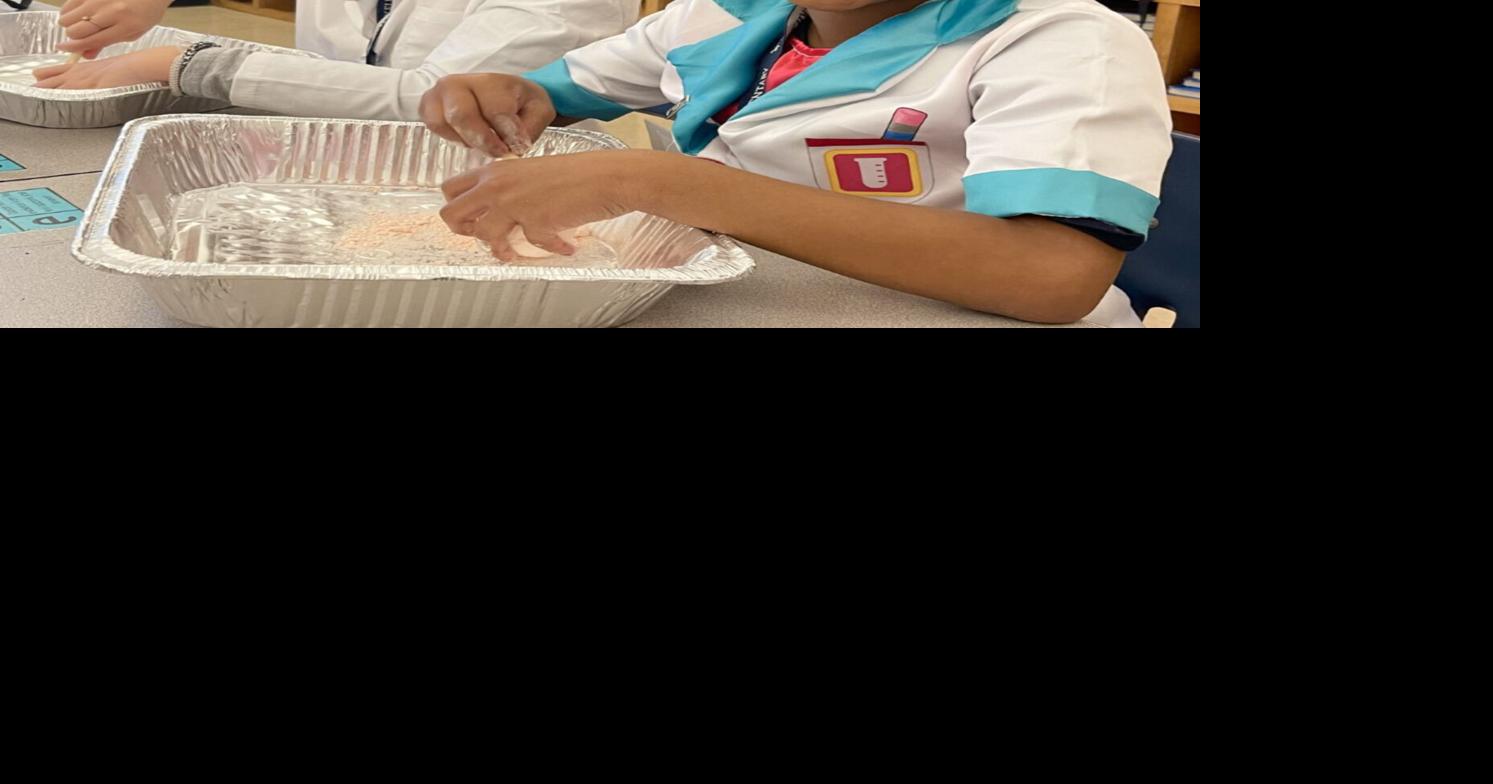 Zachary Elementary School finds lessons in rocks Zachary