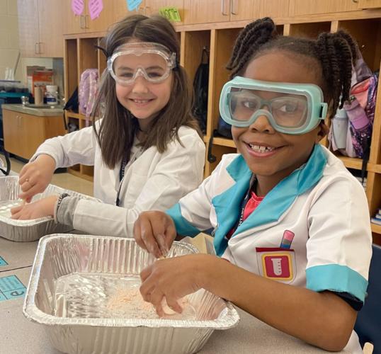 Zachary Elementary School finds lessons in rocks | Zachary ...