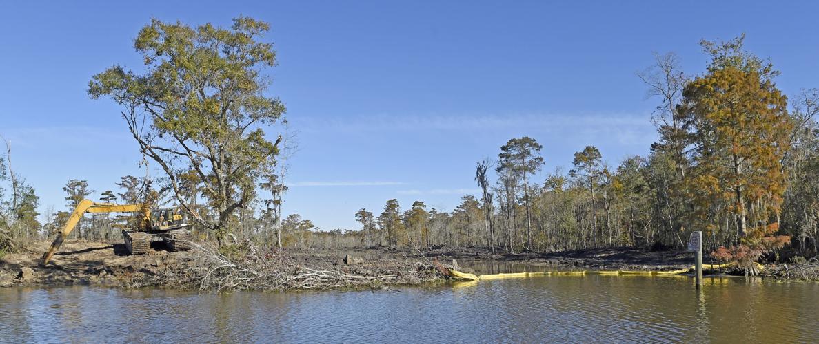 Work moves forward on projects to revitalize lower Amite River and Maurepas Swamp Environment