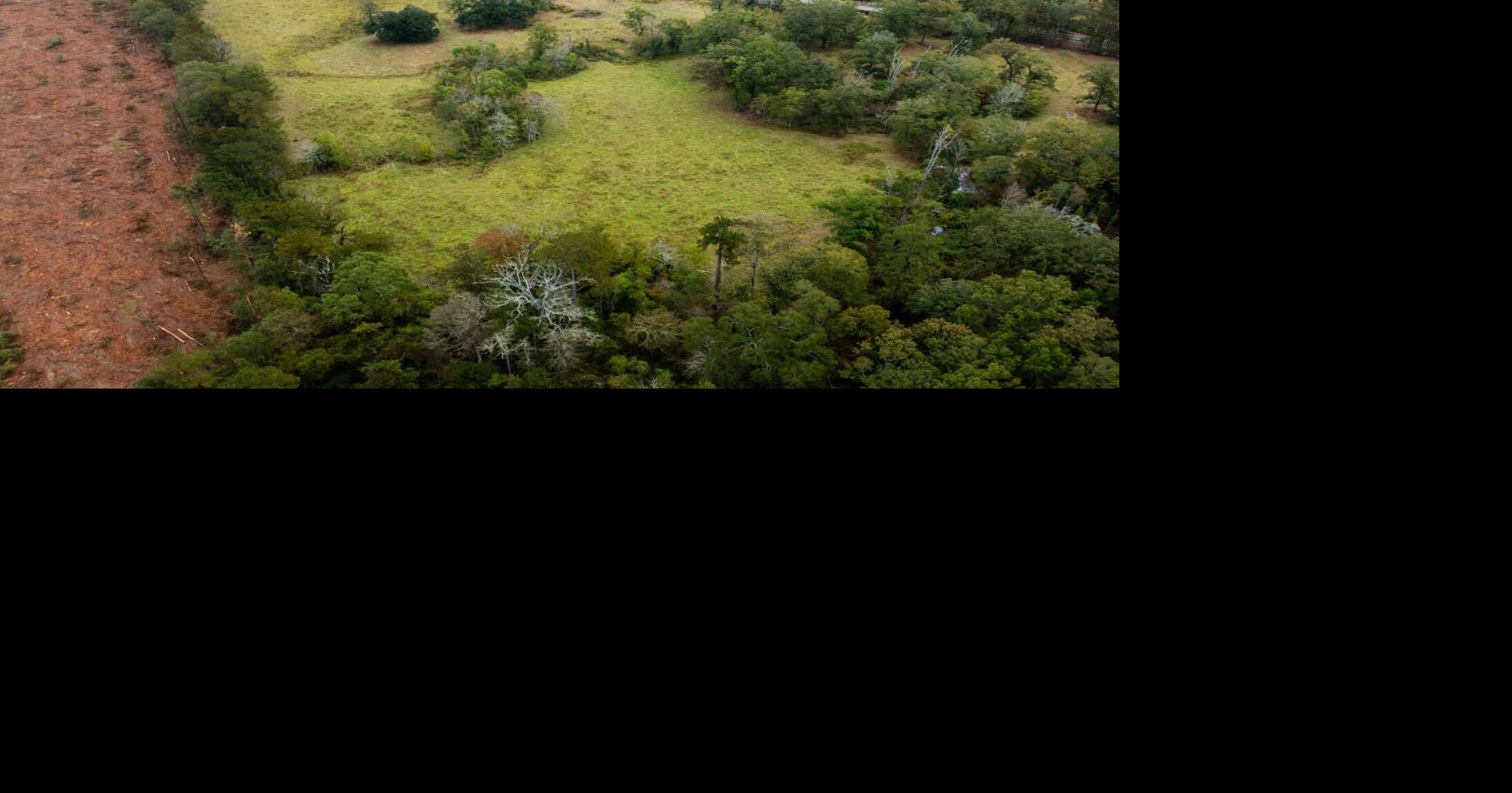 Louisiana group challenges law for CO2 storage under private land