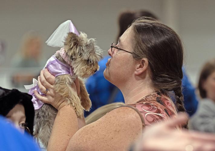 Pets and pumpkins are costumed by owners at 4H Pet Show in Gonzales