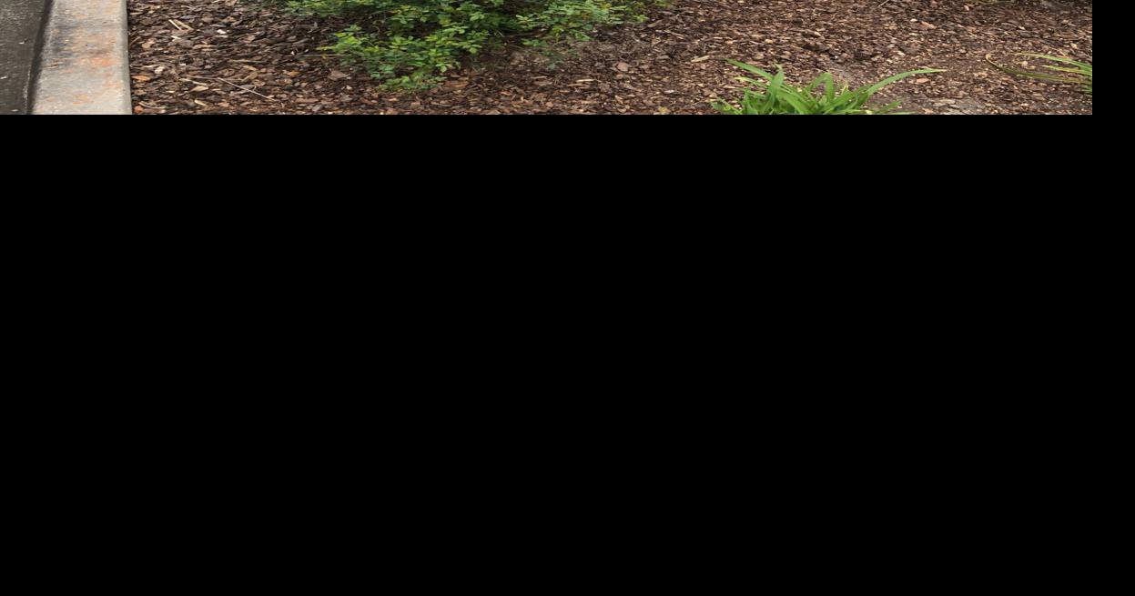 Abbeville may cut off some utility customers; officials working with