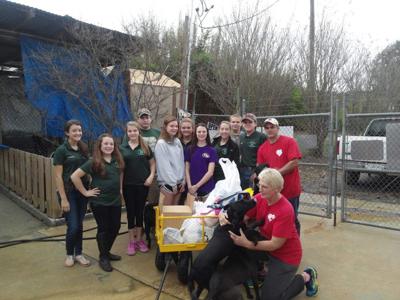 Service day goes to the dogs _lowres