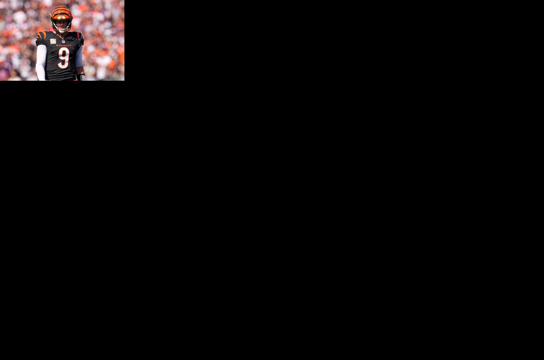 Ravens Bengals Football
