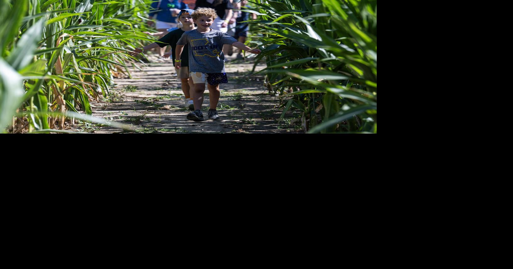 Letters: Families leaving because Louisiana letting them down