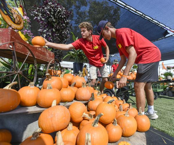 Lafayette Parish families, mayors prepare for trickortreating during