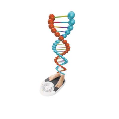new weight loss concept tests dna to