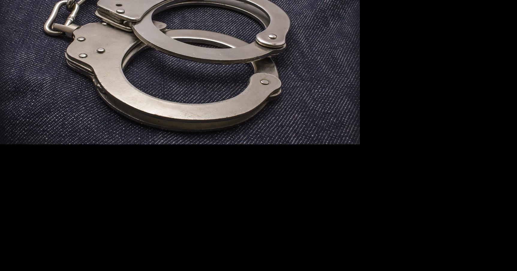 Woman arrested after 17 cats found dead in Walker business