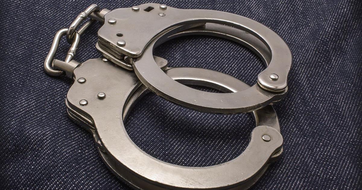 Woman arrested after 17 cats found dead in Walker business
