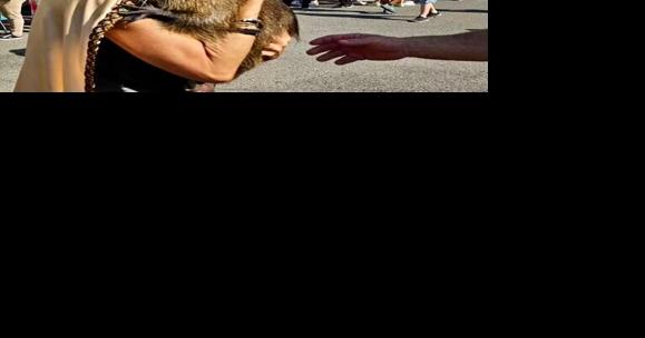 Neuty the nutria goes Saints tailgating, meets Swamp People | Entertainment/Life - Vimarsana News